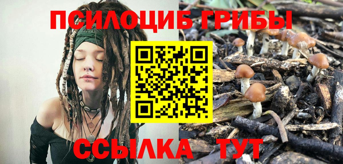 Псилоцибиновые грибы мицелий Кингисепп