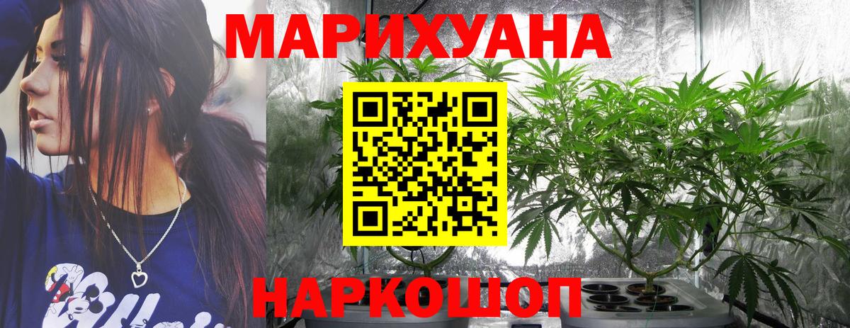 МЕФ Кингисепп